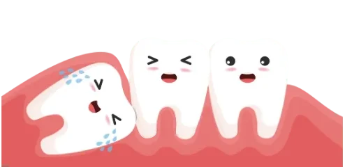 No Damage to Adjacent Teeth